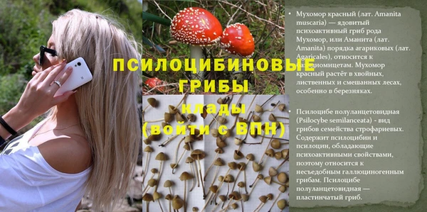 винт Алзамай