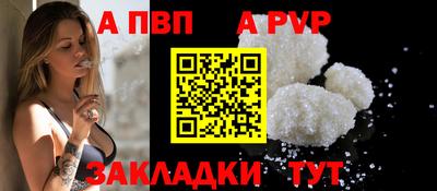 ешки Кингисепп
