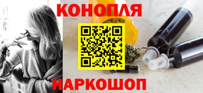 ешки Кингисепп