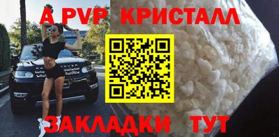 ешки Кингисепп