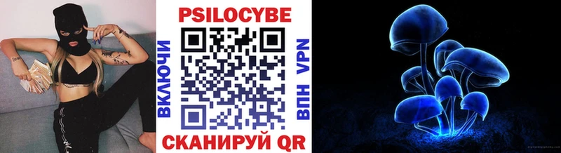 закладки  Слободской  Галлюциногенные грибы Psilocybe 